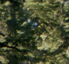 Messersk1's Avatar